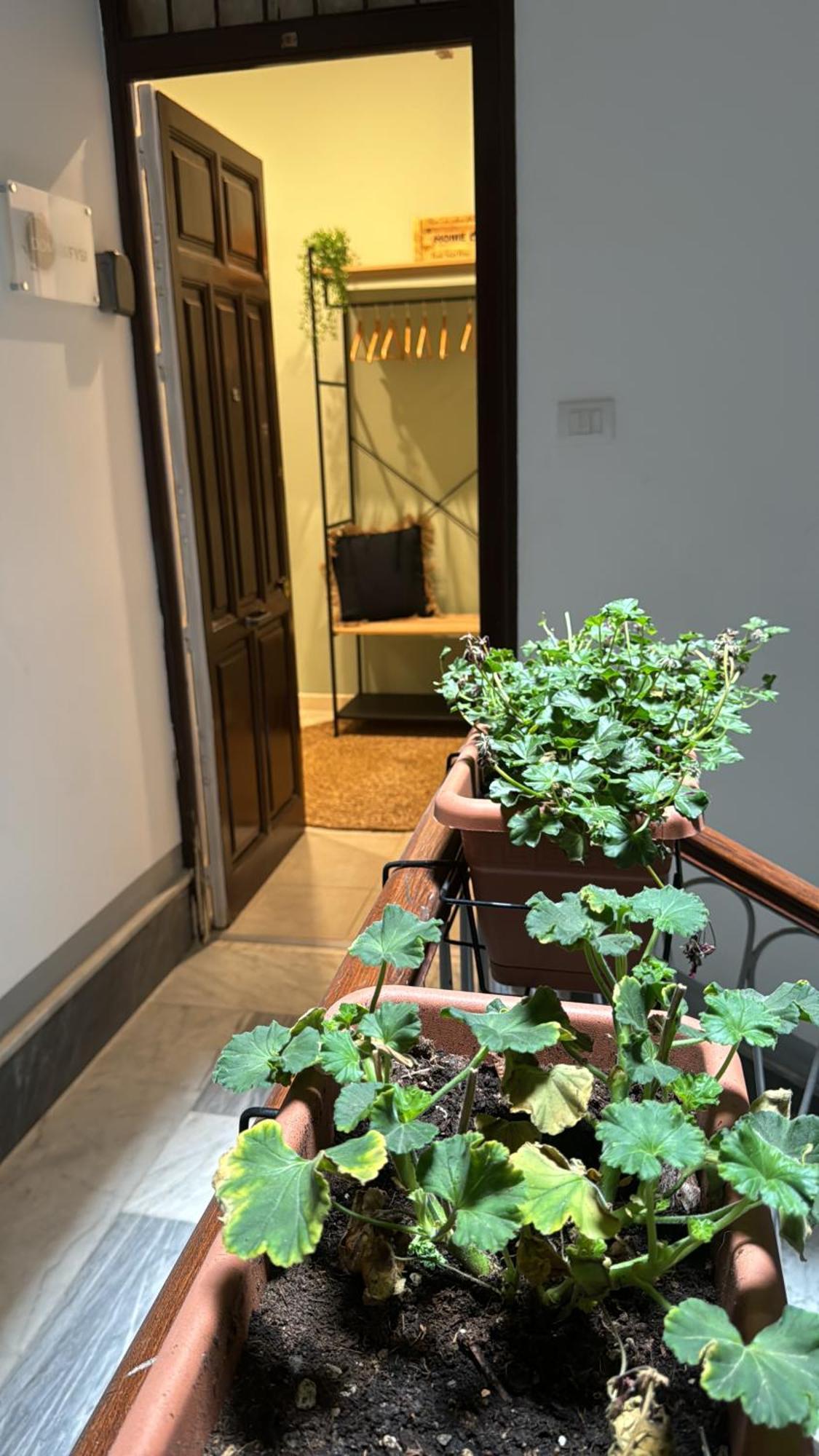 Domus Fysi Otel Palermo Dış mekan fotoğraf