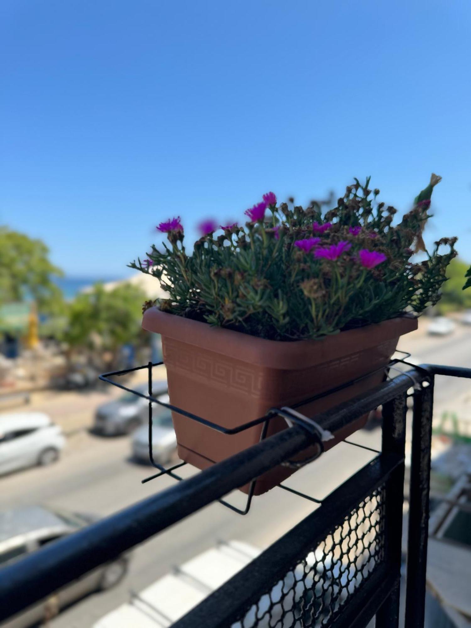 Domus Fysi Otel Palermo Dış mekan fotoğraf